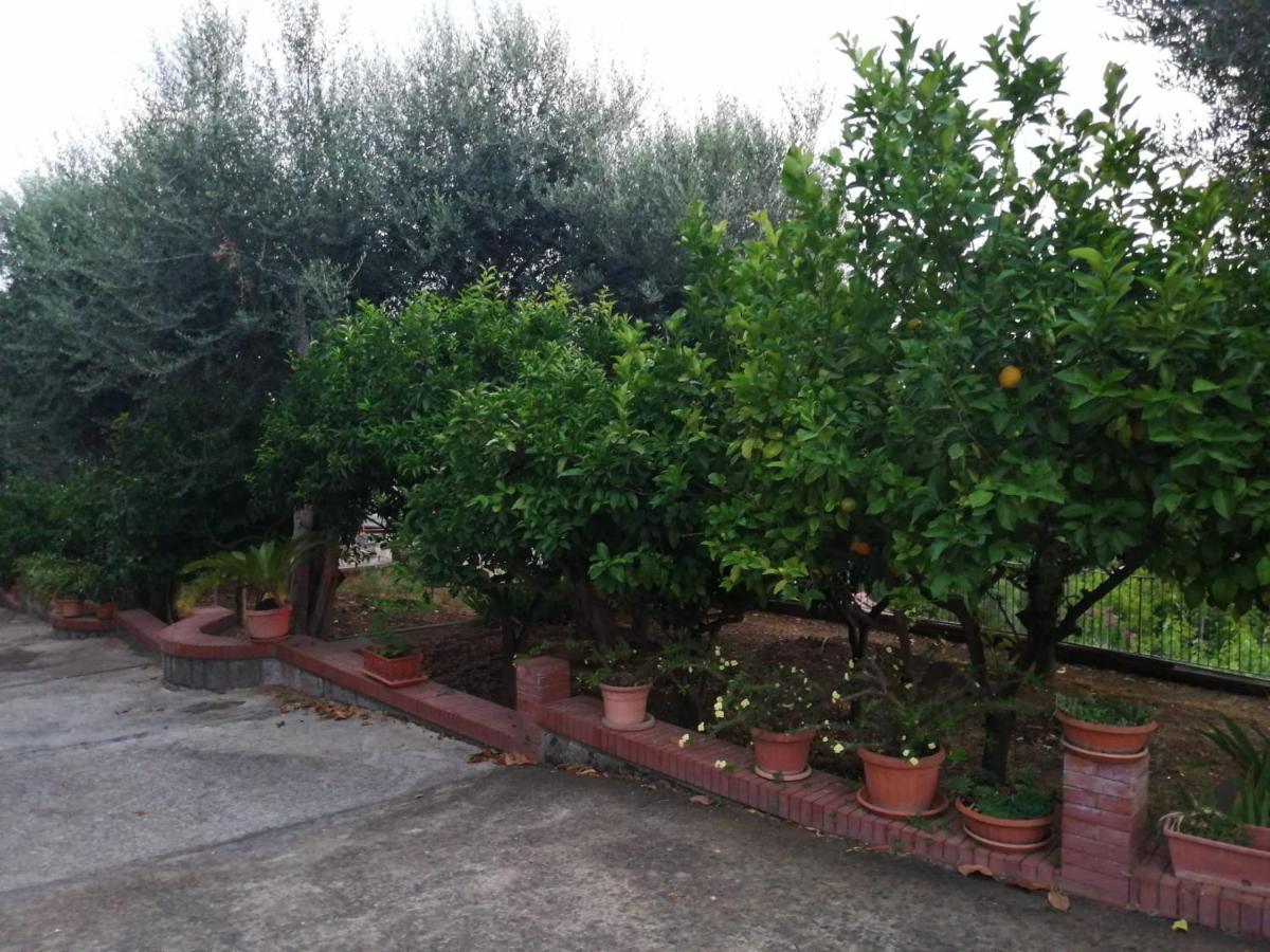 Villa Giannina Massa Lubrense Exterior photo