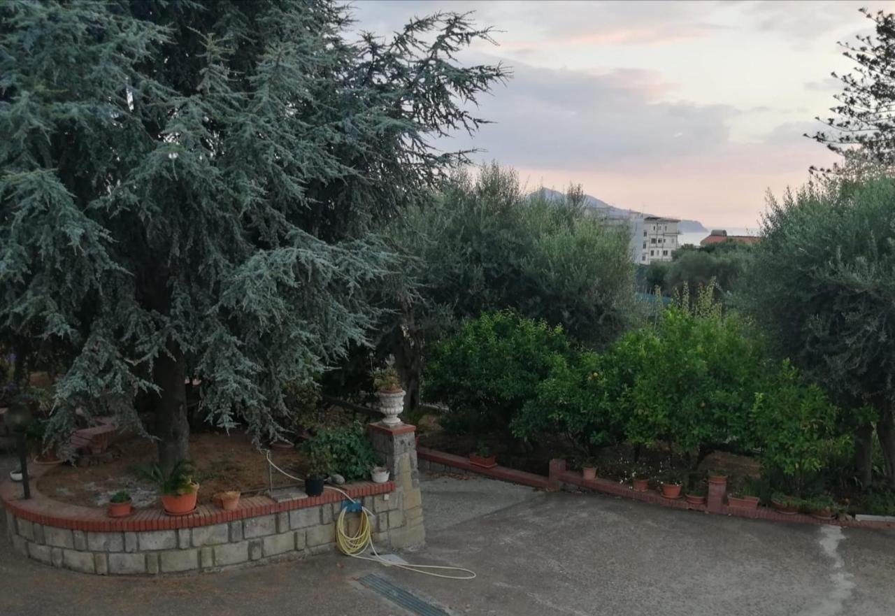 Villa Giannina Massa Lubrense Exterior photo